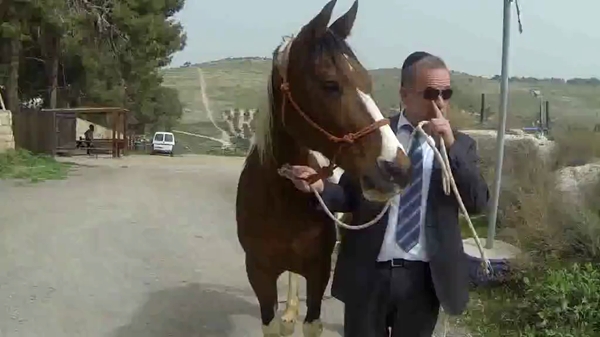 המחברת של רחל: האיש שהתמכר לעזור איתן אקשטיין רטורנו סוס