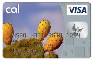 סולקים מתארחים ייכנסו לתחום במטרה להוריד את עמלות הסליקה אשראי