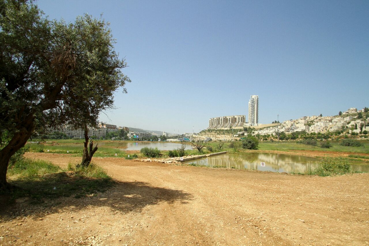 לוחם צה"ל פצוע בינוני ממכת חום אילוסטרציה
