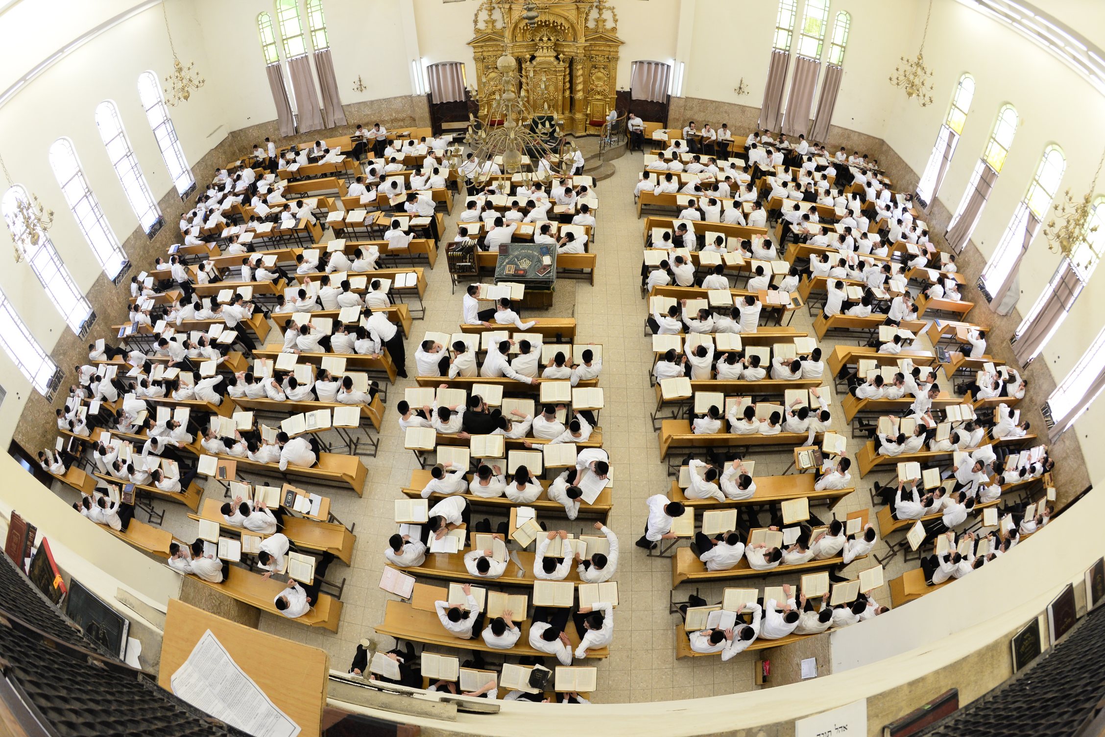 הם מבקשים "להשכיחם תורתך" – ומספר האברכים גדל \\ בצלאל קאהן לימוד בהיכל ישיבת פונוביז'