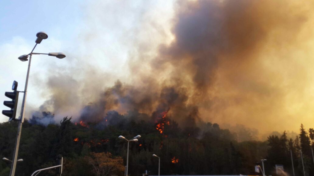 "ראינו שורה של קרטונים מסודרים; זה נראה היה כמו ניסיון הצתה" חיפה