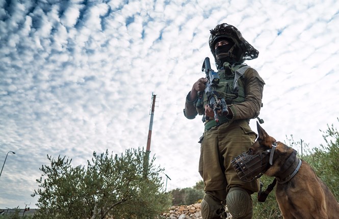 מכות עליך ישראל • השיעור הפרטי שהיה לי עם החיילת אפרת חייל קומנדו