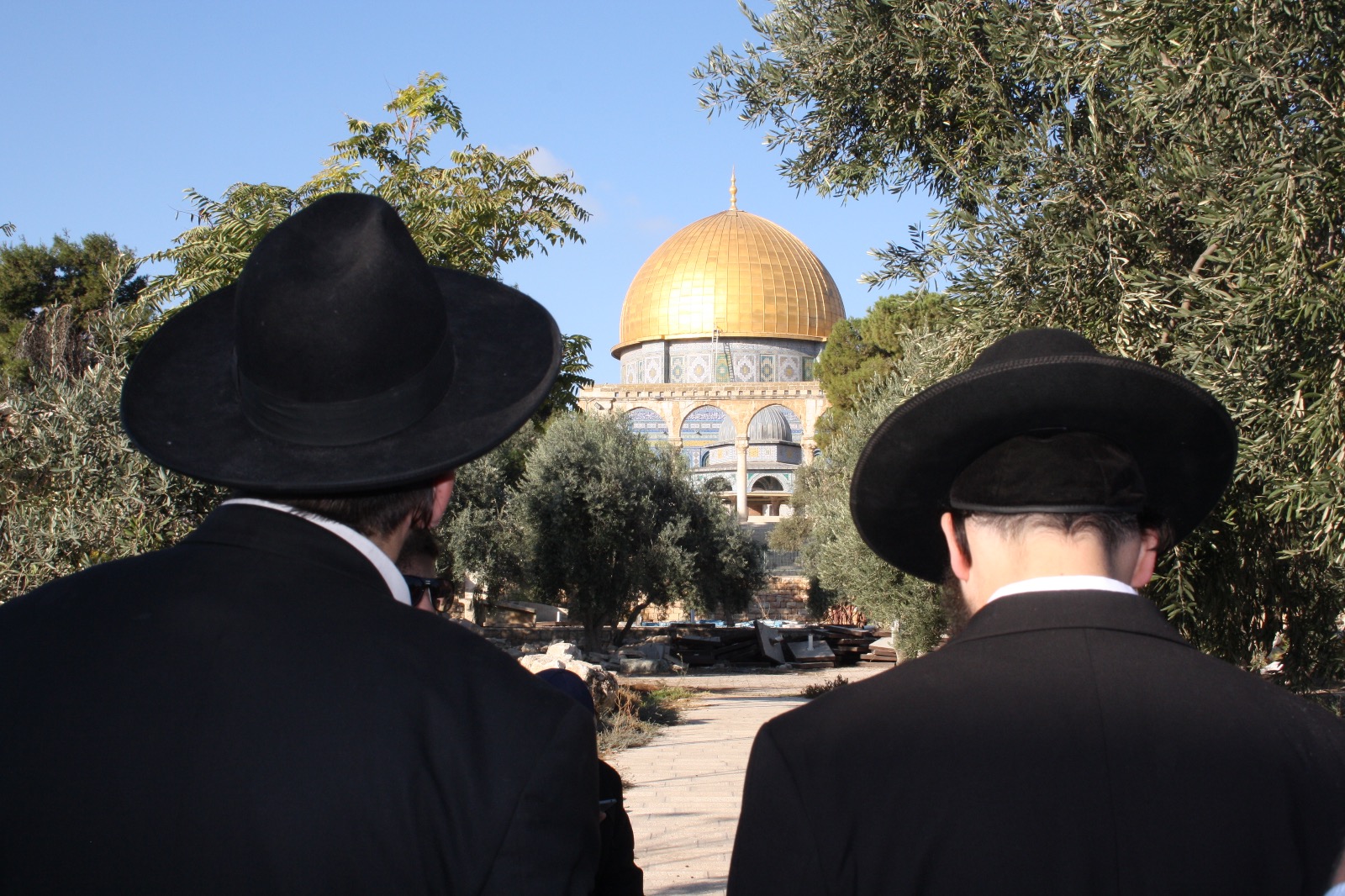 25,628 יהודים עלו להר הבית בשנת 2017 חרדים בהר הבית