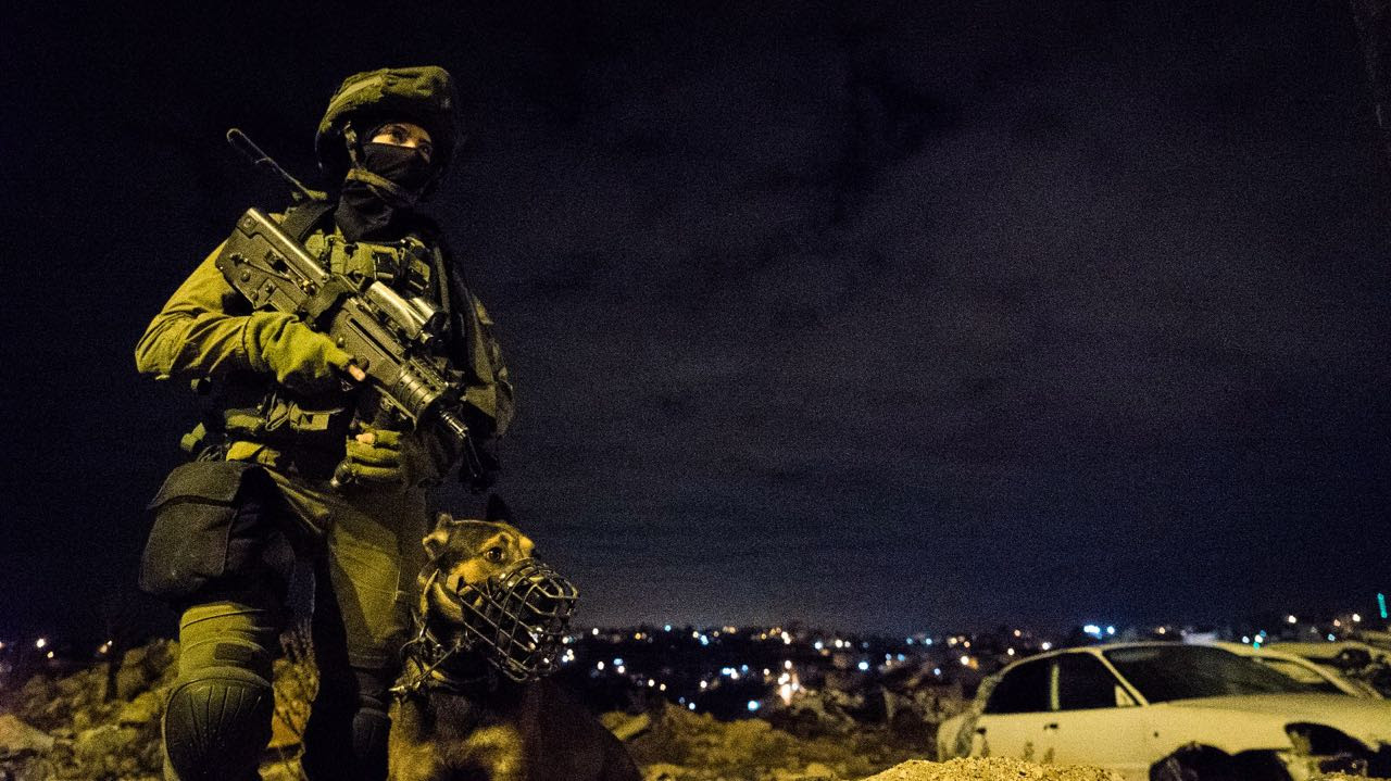 בפעילות צבאית: מבוקשים נעצרו הלילה אילוסטרציה