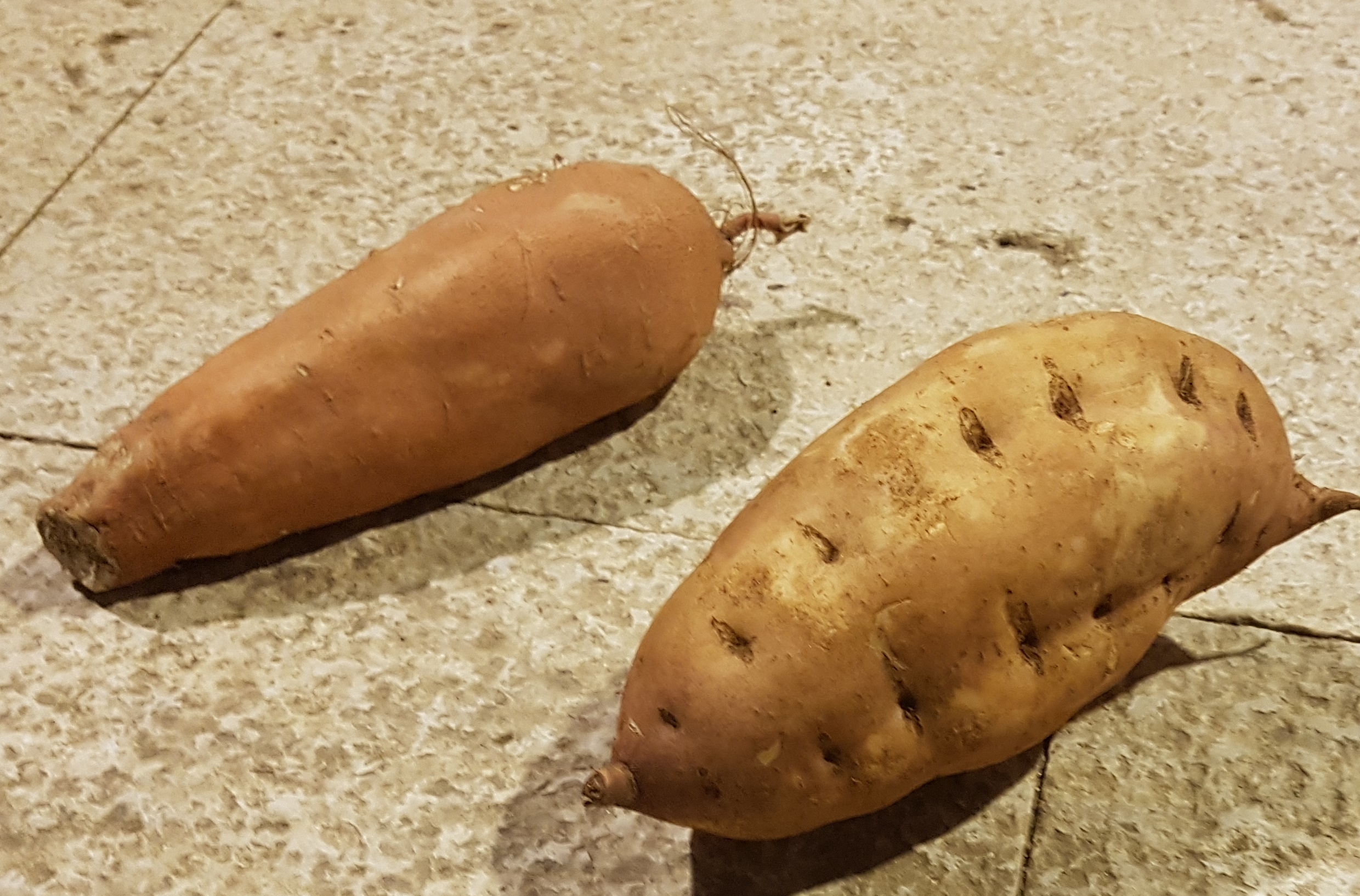 אוהבים בטטות? מהיום זן חדש: בטטות לבנות בטטות לבנות_דפנה יוריסטה