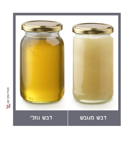 הדבש התגבש בגלל הקור? לא צריך לזרוק את הצנצנת דבש מגובש לעומת נוזלי