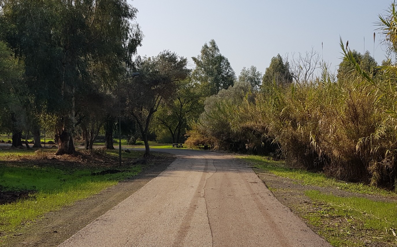 עכשיו הזמן לצאת לדרך \\ מירי שניאורסון שביל