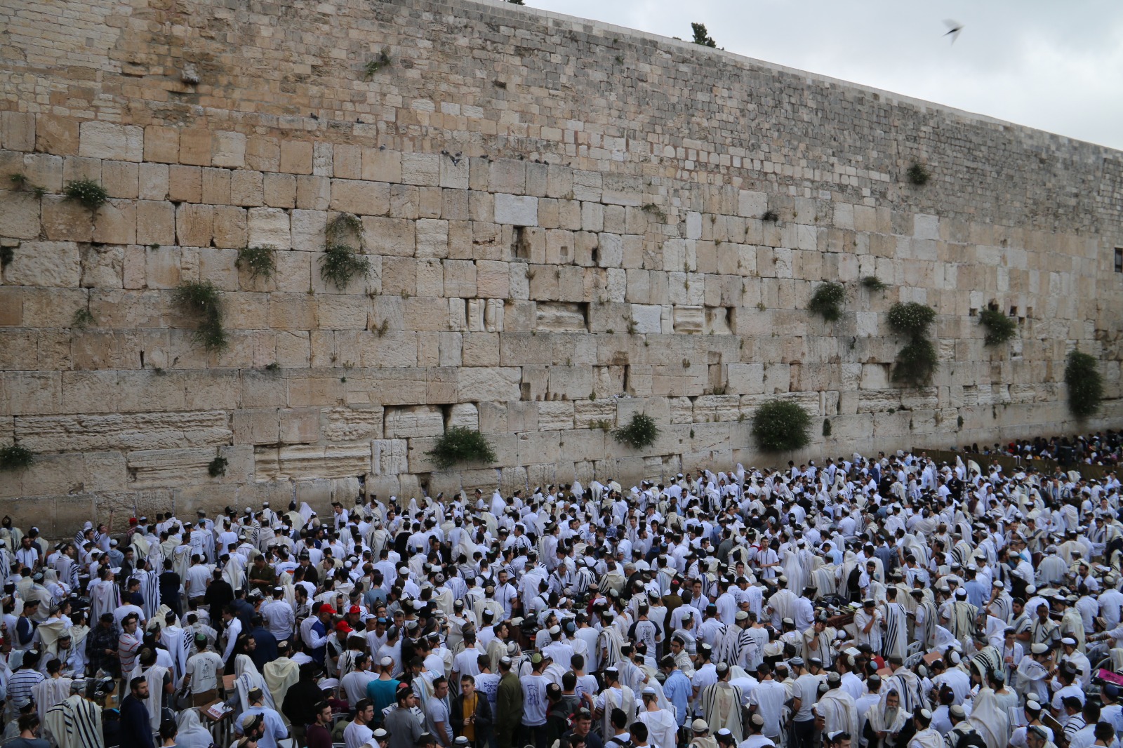 תגבור קווי הכותל במוצאי שבת וביום הצום הכותל המערבי, הבוקר, יום ירושלים