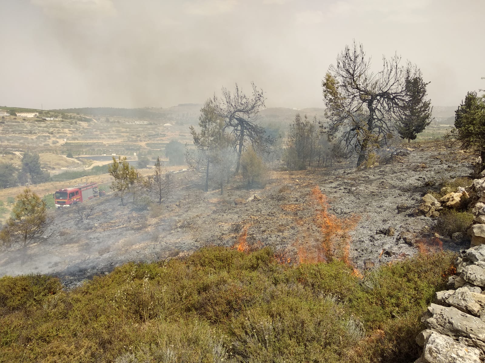 שוב: שריפה שומרון; חשד להצתה אילוסטרציה