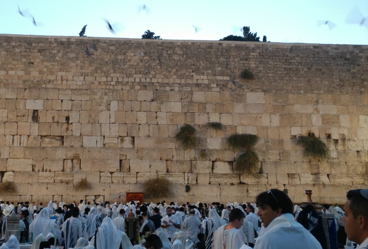 אחדות ומלכות \\ מירי שניאורסון יהודים בכותל המערבי