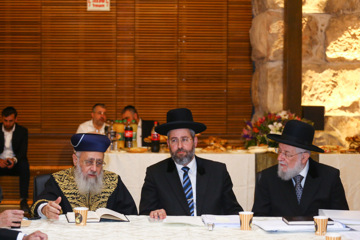 קריאה לראה"מ: "העבר את סמכויות הגיור לרב הראשי" החלטת ממשלה עדיין לא נעשתה. הסמכות על הגיור טרם עברה להגאון הרב דודל או