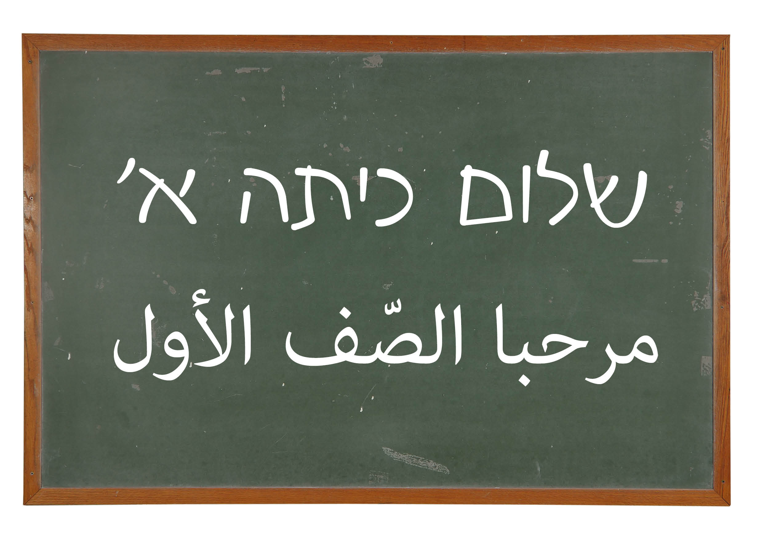 סכנה תוצרת הארץ: המדינה פועלת נגד התבוללות בחו"ל ותומכת בארץ שלום כיתה א