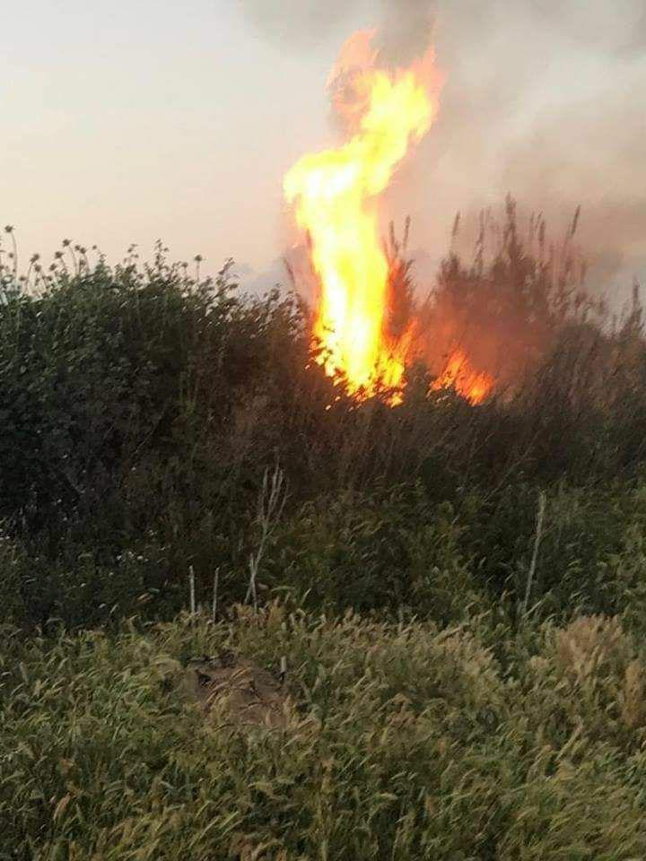 רועה צאן התעסק בבלון תבערה ונפצע השריפה שפרצה היום במרחבים