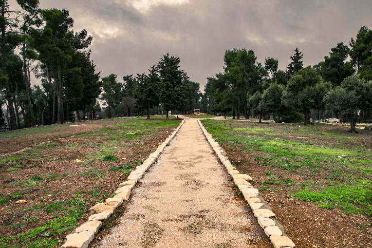 במהלך טיול בגליל: 30 ילדים פונו לבית החולים F181226AHFF02