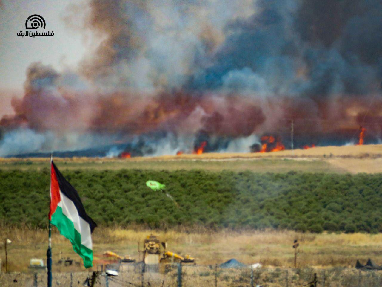 הפגנות יום הנכבה: 60 מחבלים נפצעו מאש צה"ל photo_2019-05-15_14-55-29