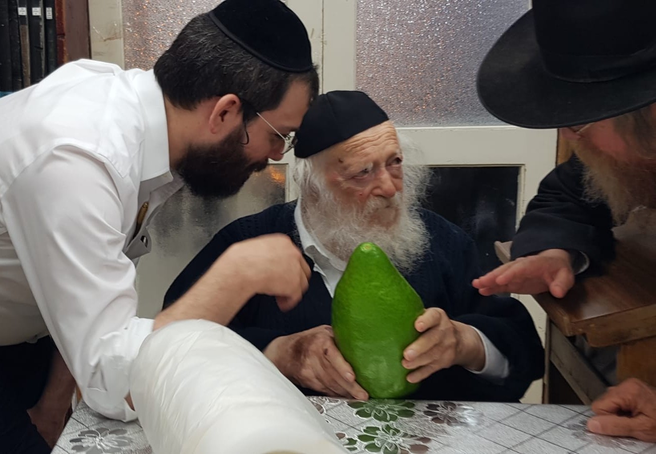 מרהיב: ר' חיים קנייבסקי בבדיקת אתרוג לסוכות • צפו WhatsApp Image 2019-08-12 at 21.36.29 (2)