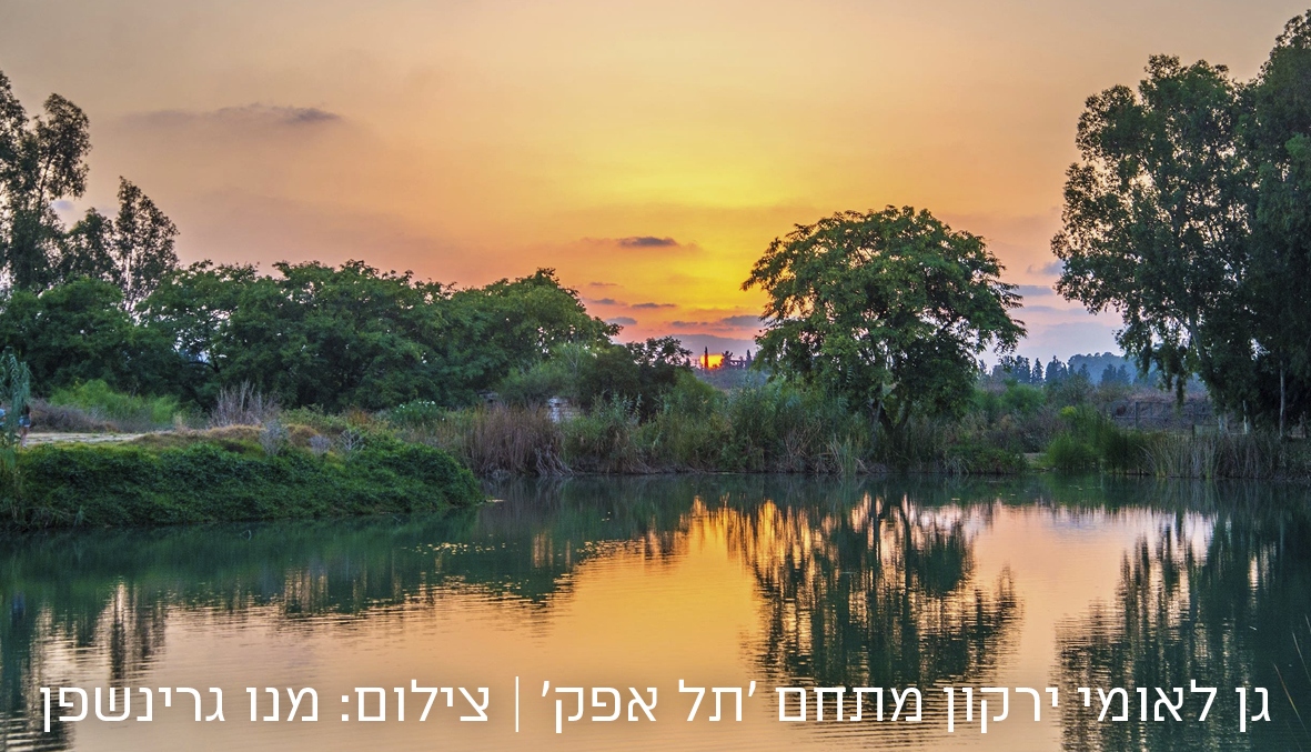 טיולים ופעילויות קיץ באתרי הטבע והמורשת yachaz