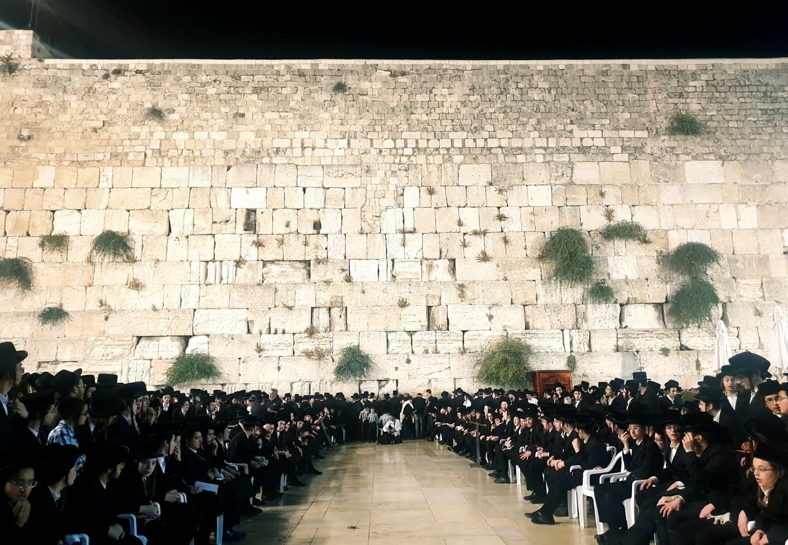 הוידאו המלא: שירי ערגה במוצאי תשעה באב בכותל • צפו שירה כותל המערבי צילום בעריש פילמר