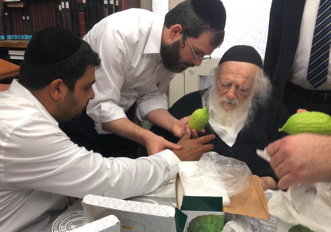 כשהאתרוגים המרוקאים הגיעו אל שר התורה • גלריה אתרוגים ר' חיים (1)