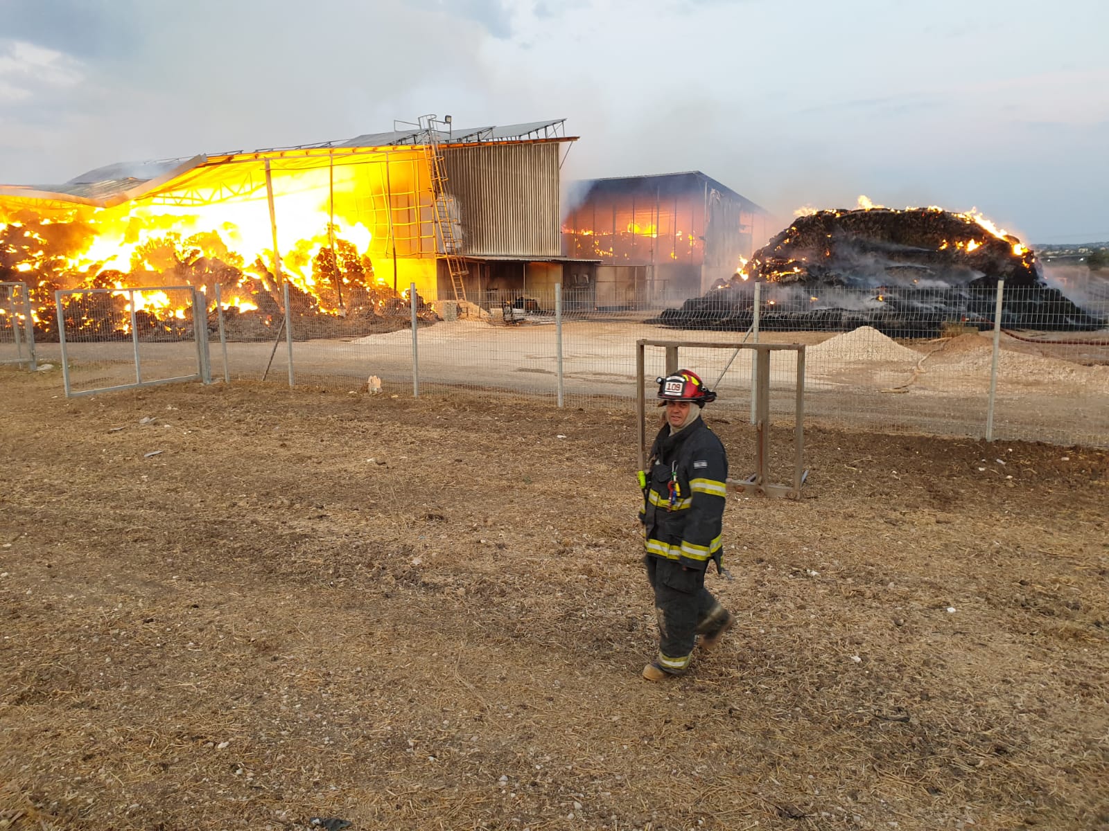 נהלל ובאיזור כרמיאל: סיכום אירועי השריפות בצפון הארץ 41a9f597-15e2-44e7-97b6-4602787f0546