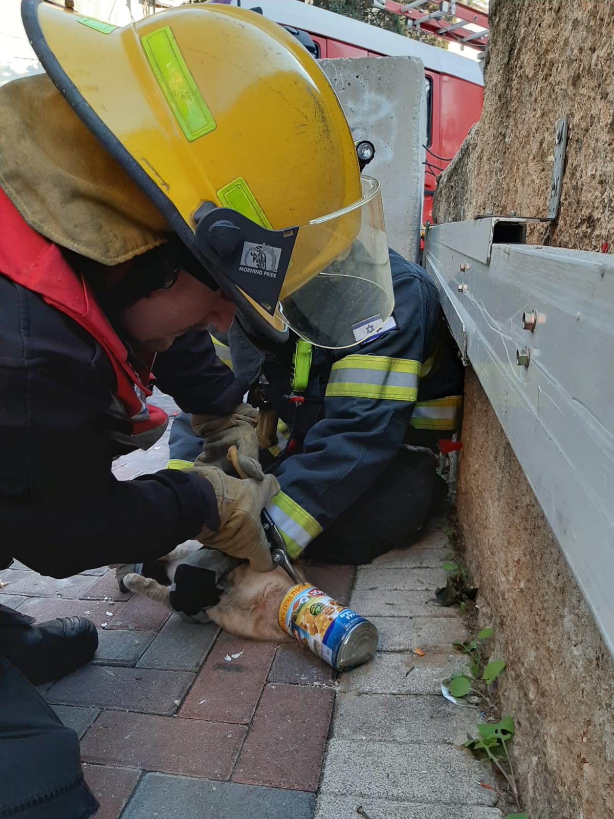 כב"ה חילצו חתול מקופסת שימורים WhatsApp Image 2019-12-11 at 10.55.49